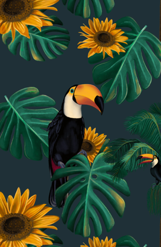Natureza & Vida