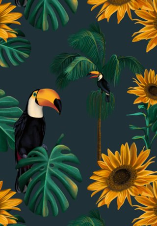 Natureza & Vida