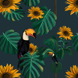 Natureza & Vida