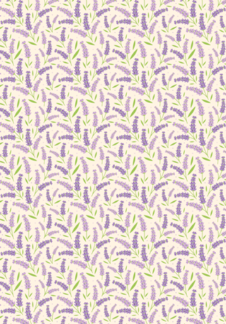Lavanda