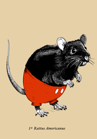 Rattus Americanus Artsy Version