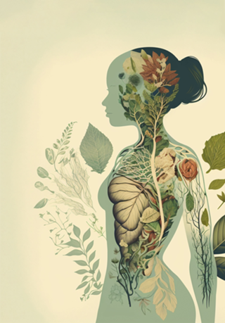 Anatomia botânica