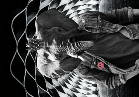 Elefant-