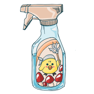 Cute Clean