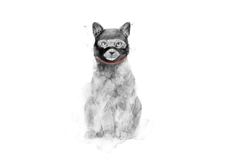 Masked cat