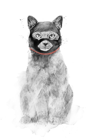 Masked cat