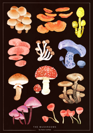 Cogumelos