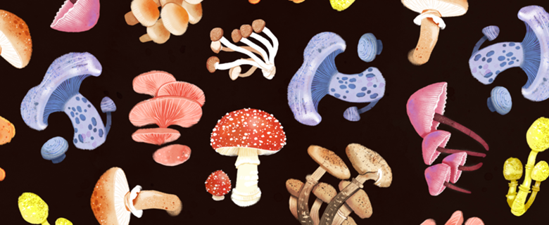 Cogumelos
