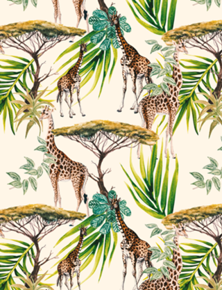 Landscape of Africa