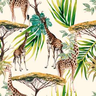 Landscape of Africa