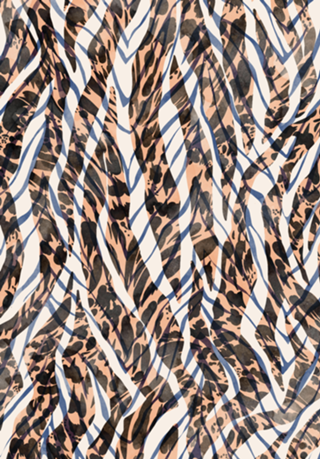 0061-Wild skin animal