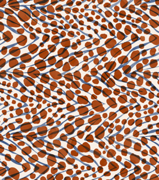 0025-Wild skin animal