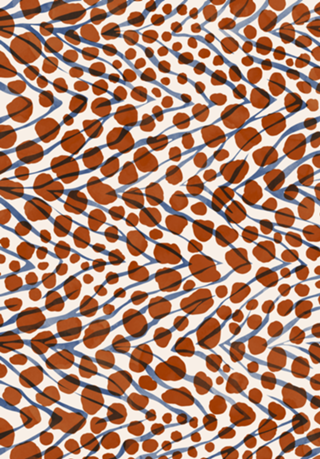 0025-Wild skin animal