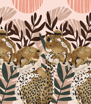 Cheetahs in love