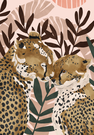 Cheetahs in love