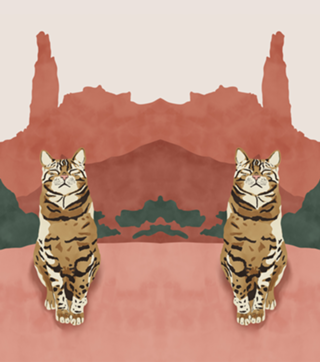 Wild nature cat