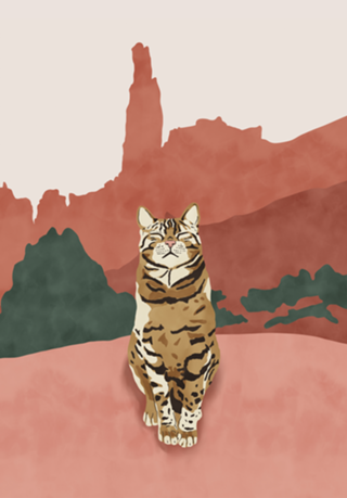 Wild nature cat