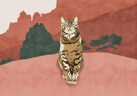 Wild nature cat