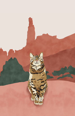 Wild nature cat