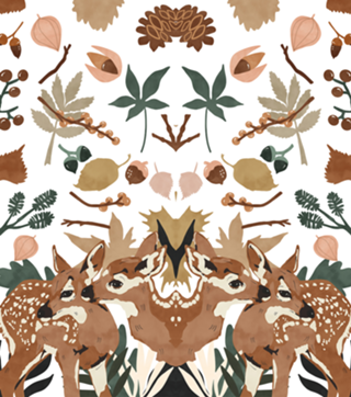 Deer cubs nature