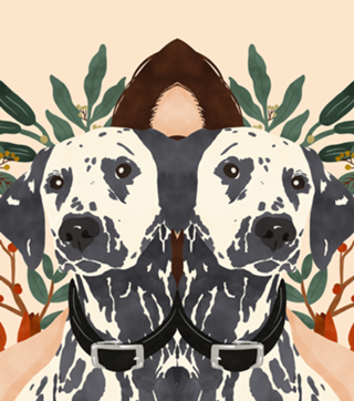 Girl with dog I