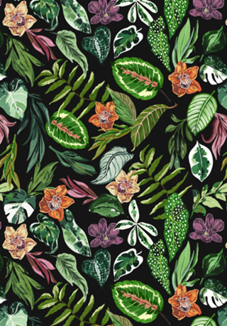 Dark wild colorful jungle FN7