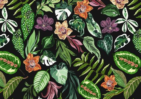 Dark wild colorful jungle FN7
