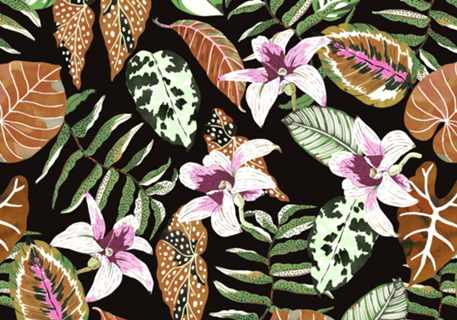 Dark tropical colorful jungle 23-