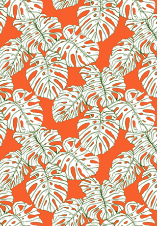Hand drawing monstera