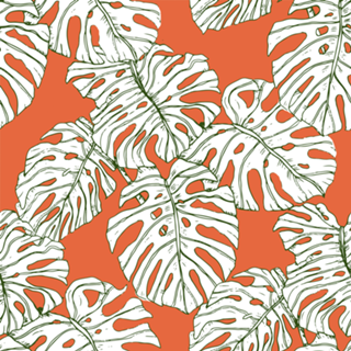 Hand drawing monstera
