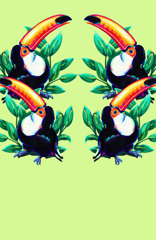 Tucano