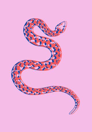 Cobra