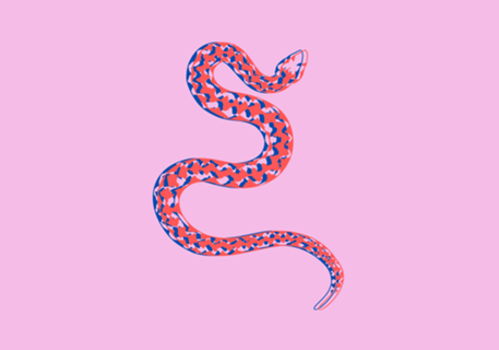 Cobra