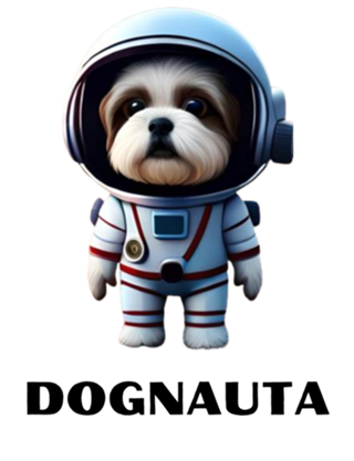 Camiseta Dognauta 13