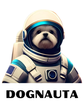 Camiseta Dognauta 18