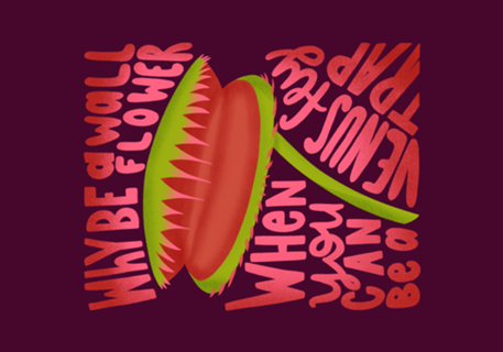 Venus Fly Trap