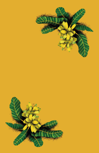 Bananas
