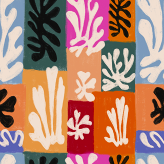 Matisse 2