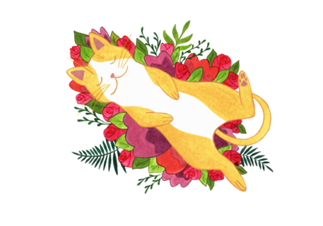 Gatinho Amarelo