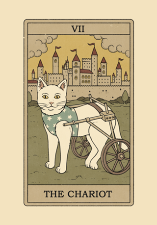 The Chariot - Cats Tarot