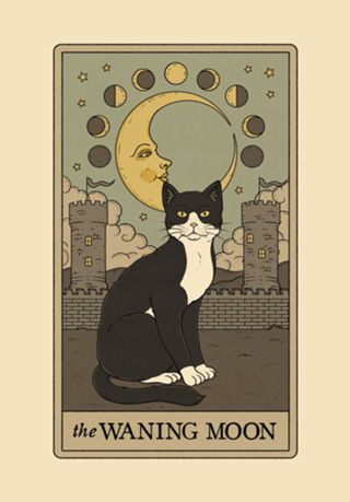 The Waning Moon Cat