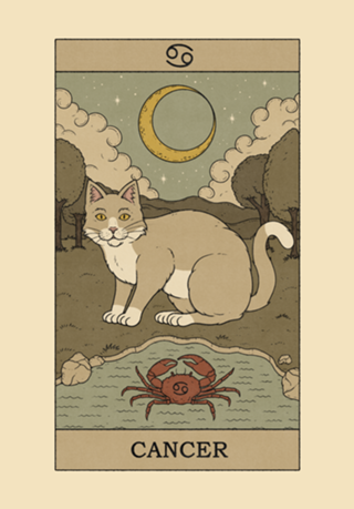 Cancer Cat