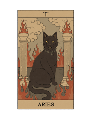 Aries Cat
