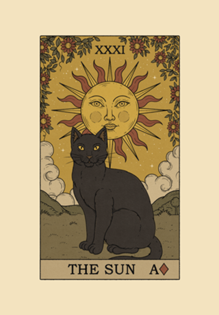 The Sun Cat