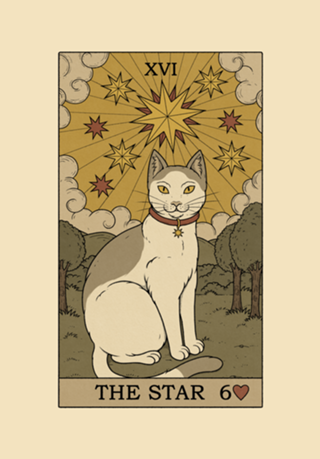 The Star Cat