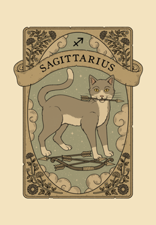 Sagittarius - Astrologia dos Gatos
