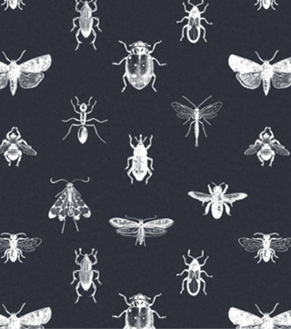 Insecta navy