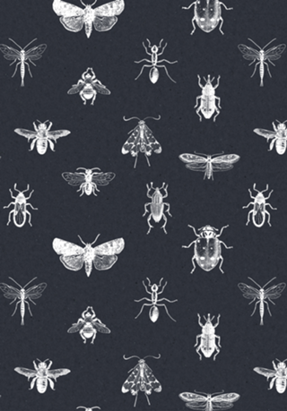 Insecta navy