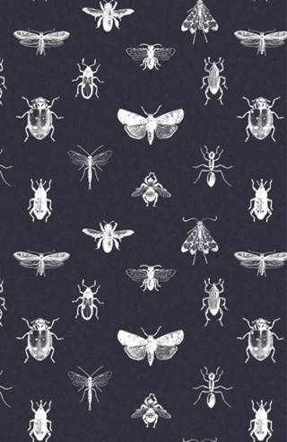 Insecta navy