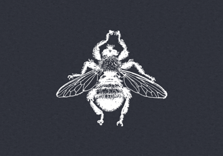 Insecta navy abelha